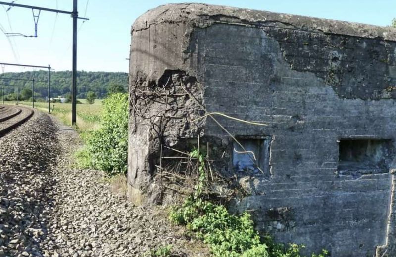 Bunker Houx